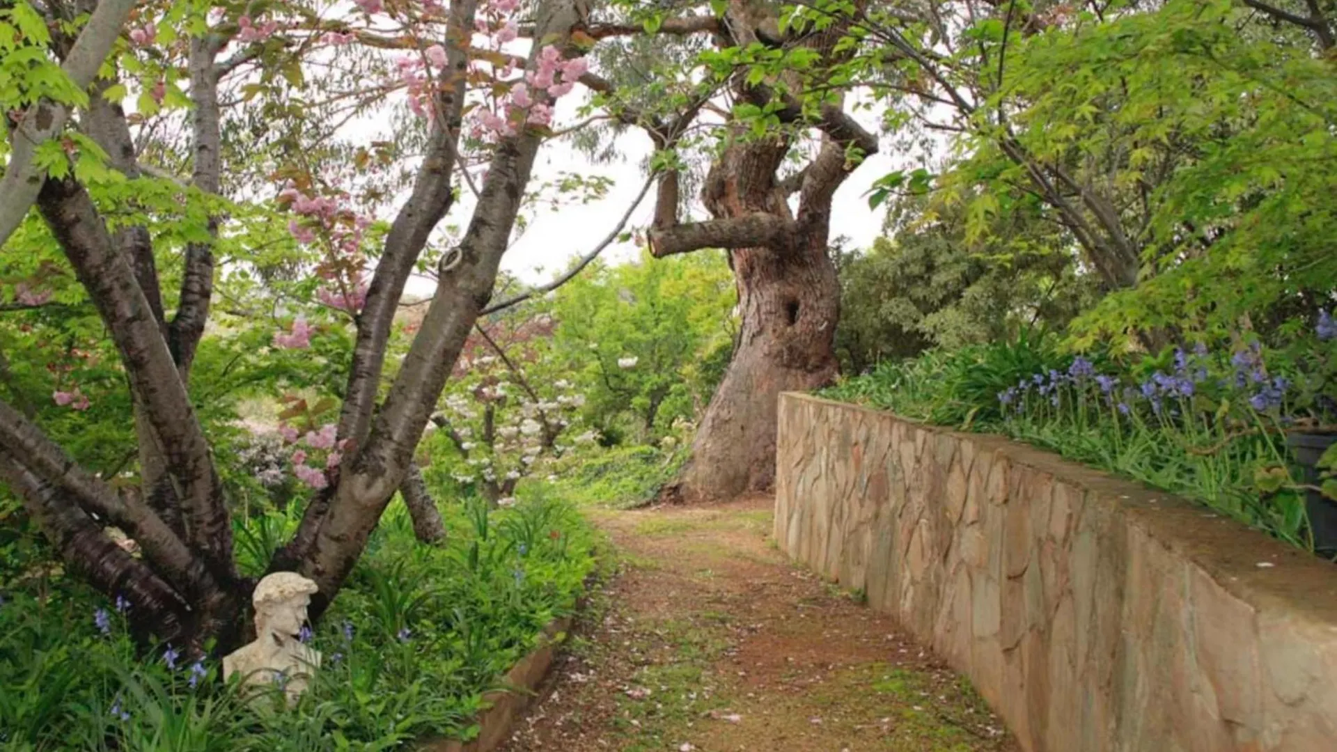 Garden Of Eden 伊甸园 Villa Phillip Holiday home